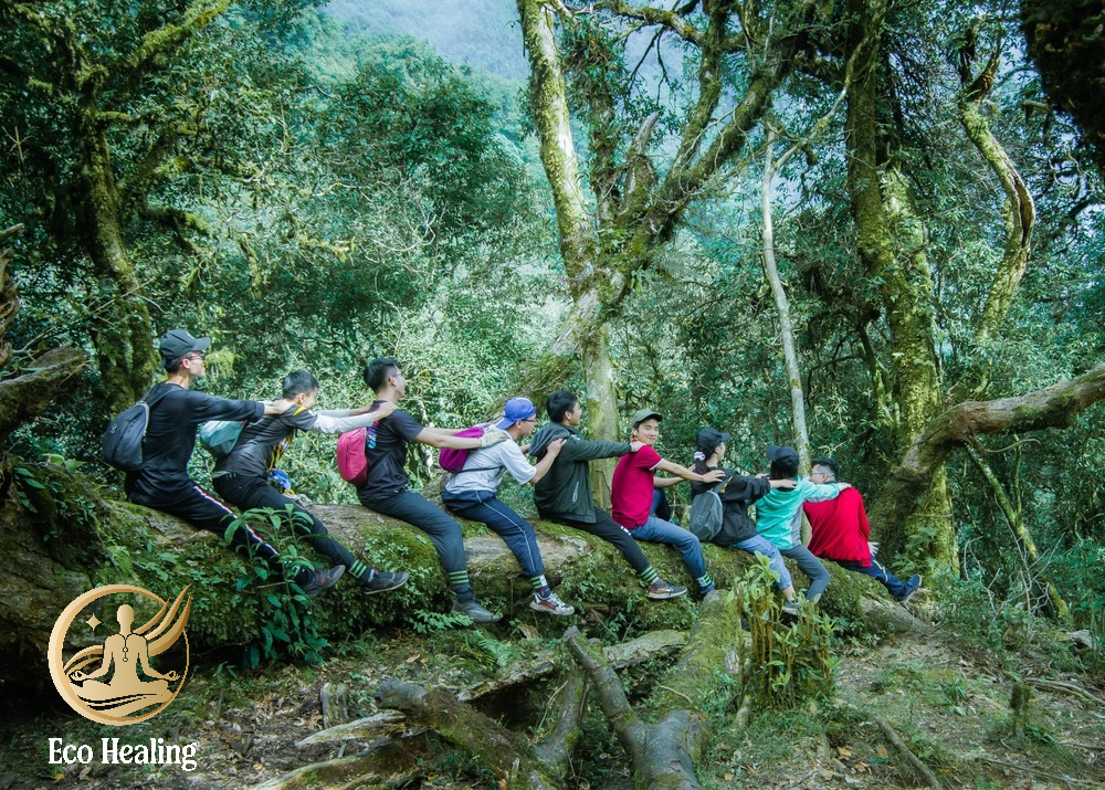 Trekking miền Bắc: Hành trình khám phá thiên nhiên hùng vĩ 2025
