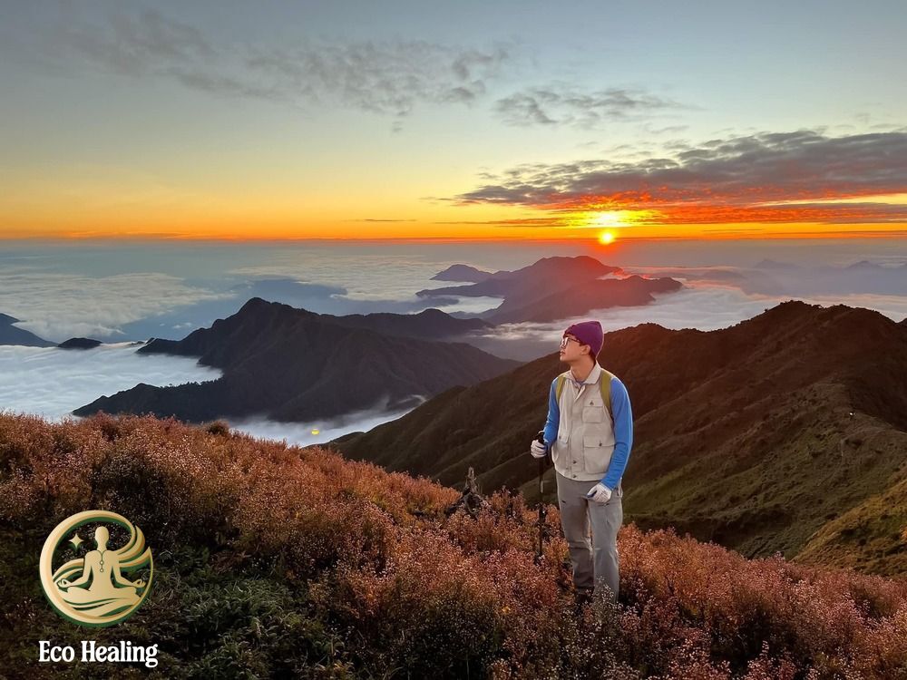 Tour trekking nhẹ nhàng phù hợp người mới