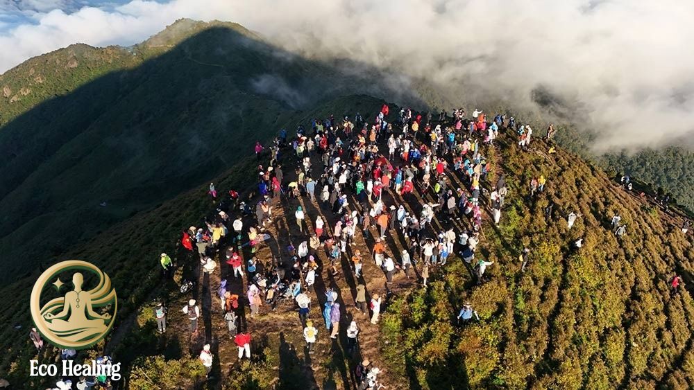 Tour trekking nhẹ nhàng phù hợp người mới