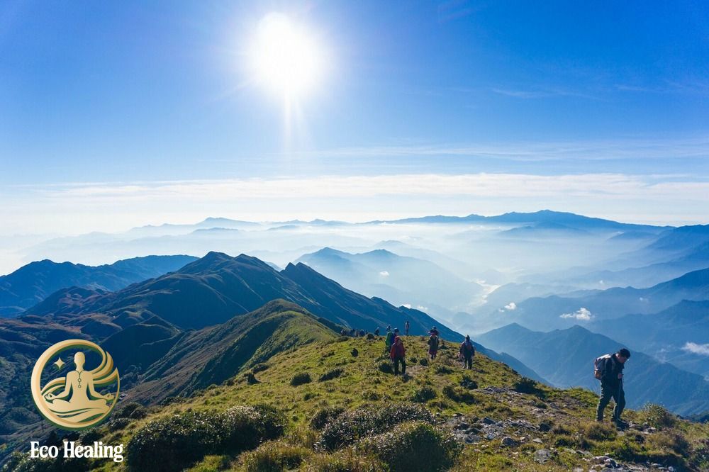 Tour trekking nhẹ nhàng phù hợp người mới