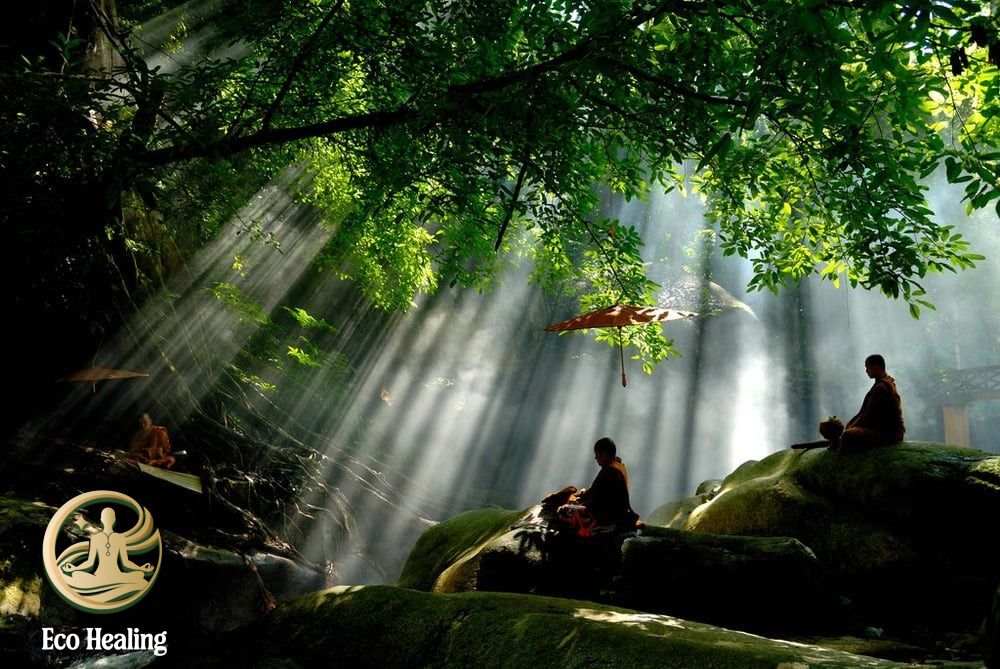 Chữa lành bằng thiên nhiên cùng Eco Healing
