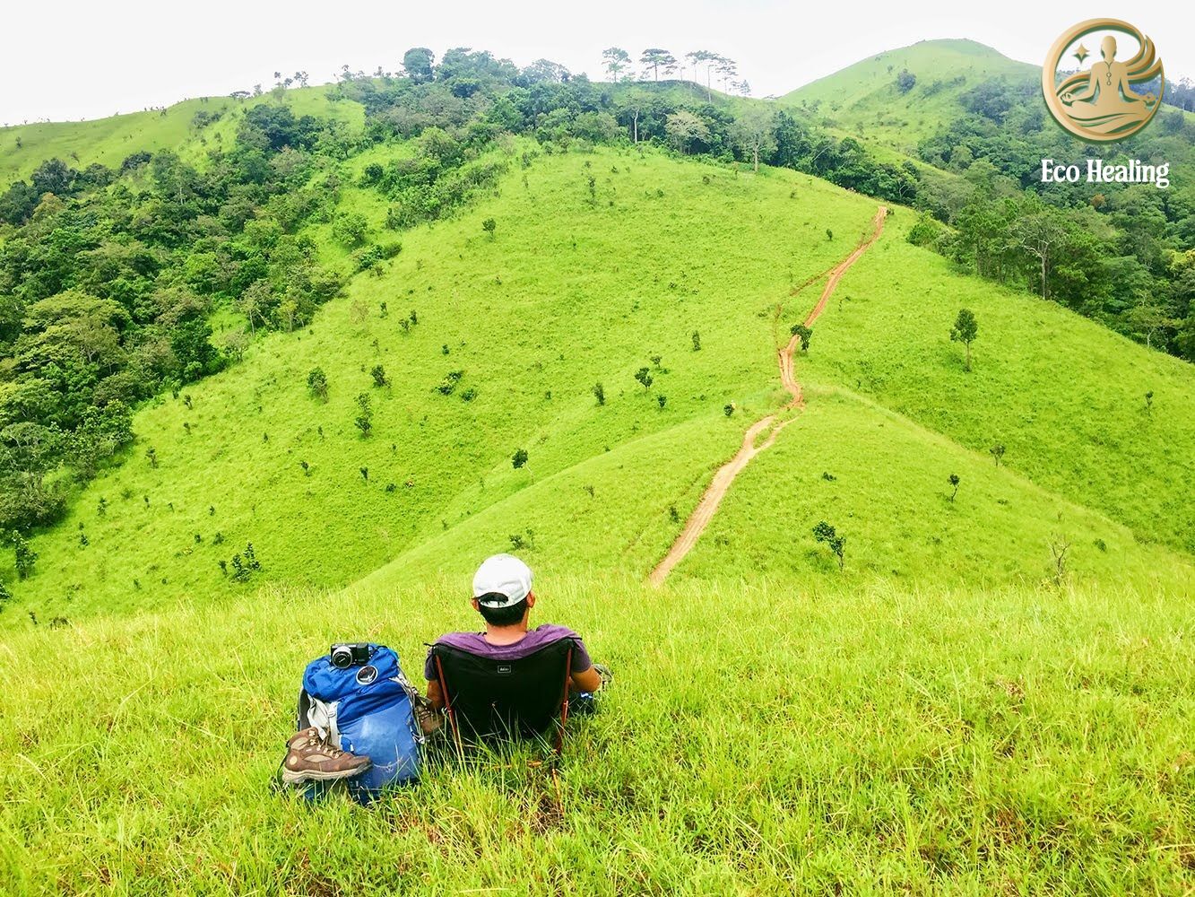 Tour đi rừng dành cho người hướng nội