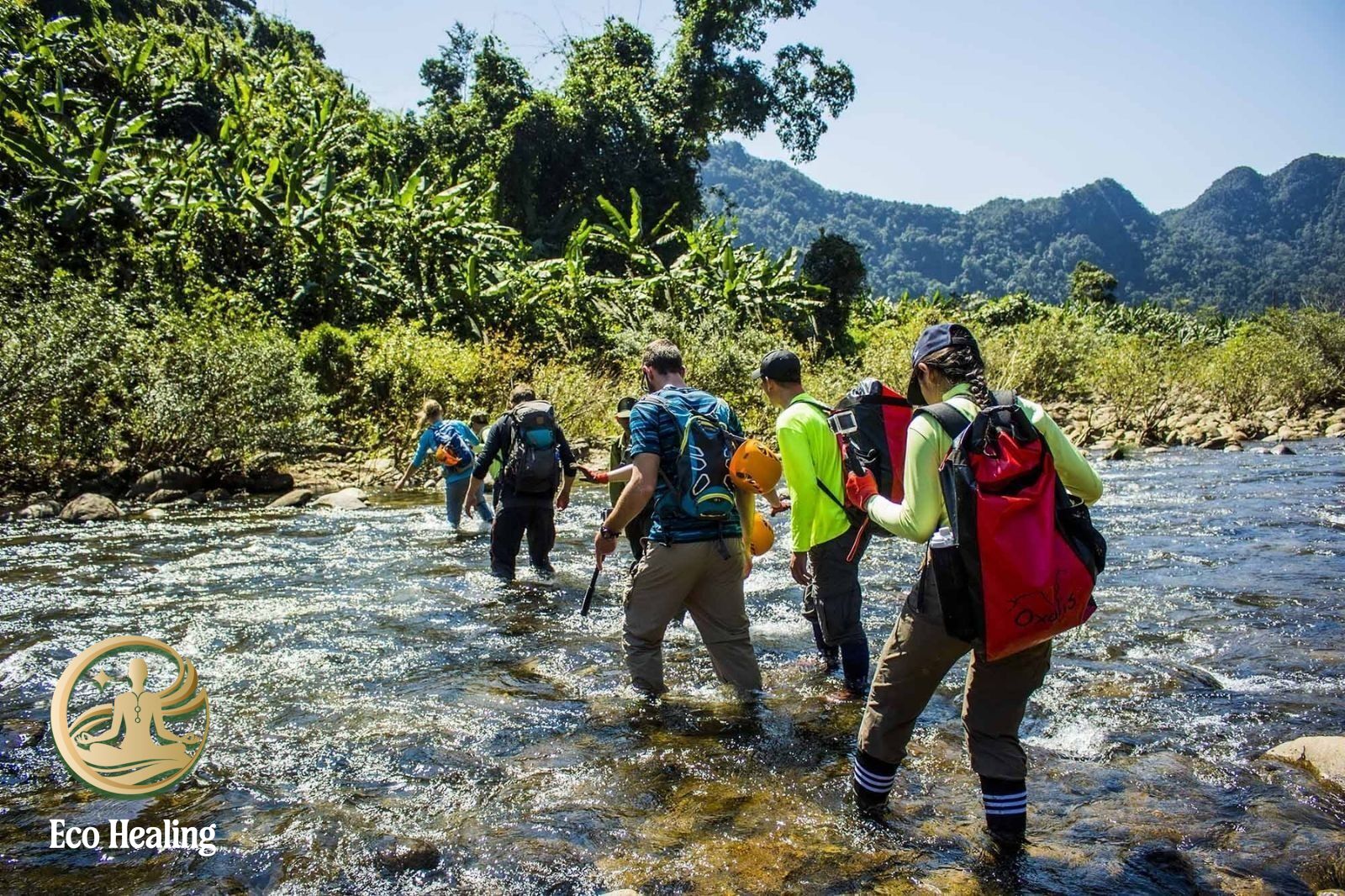 Tour đi rừng dành cho người hướng nội