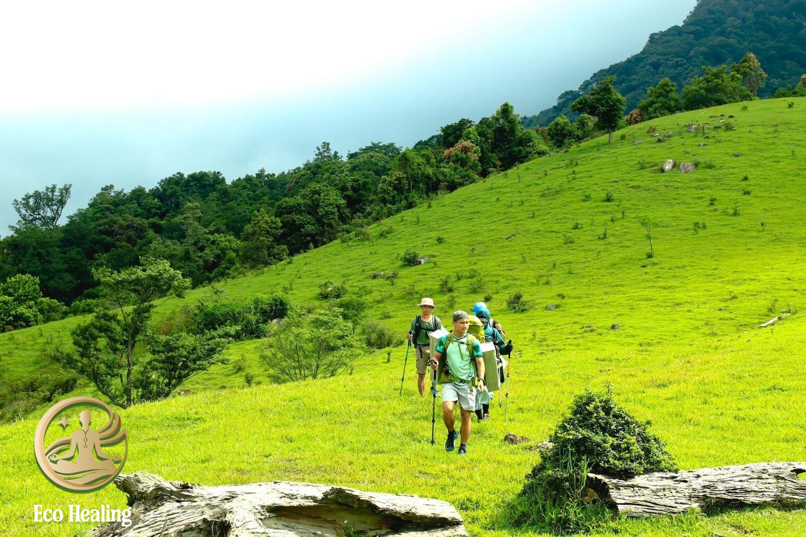 Đi Trekking cần chuẩn bị gì? Checklist 10 món đồ "bất ly thân" của dân chuyên.