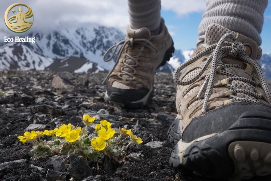 Cách chọn Giày Trekking chuẩn size, không đau chân: Kinh nghiệm xương máu.