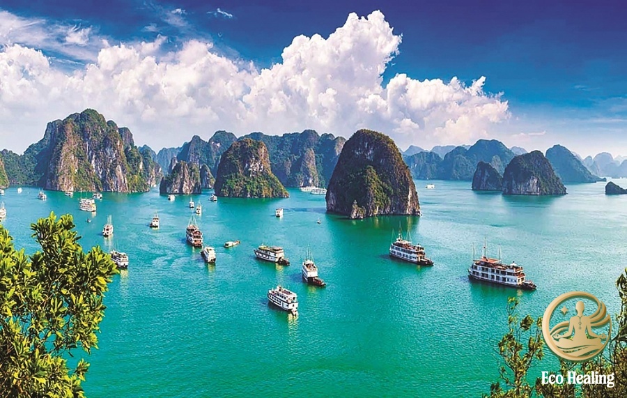 Eco Healing – Du lịch xanh đúng nghĩa