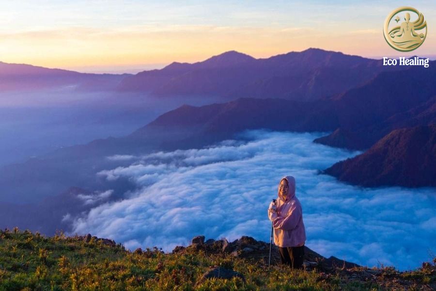 Kinh nghiệm Trekking Tà Chì Nhù mùa hoa tím: Săn mây trên đỉnh đại dương.