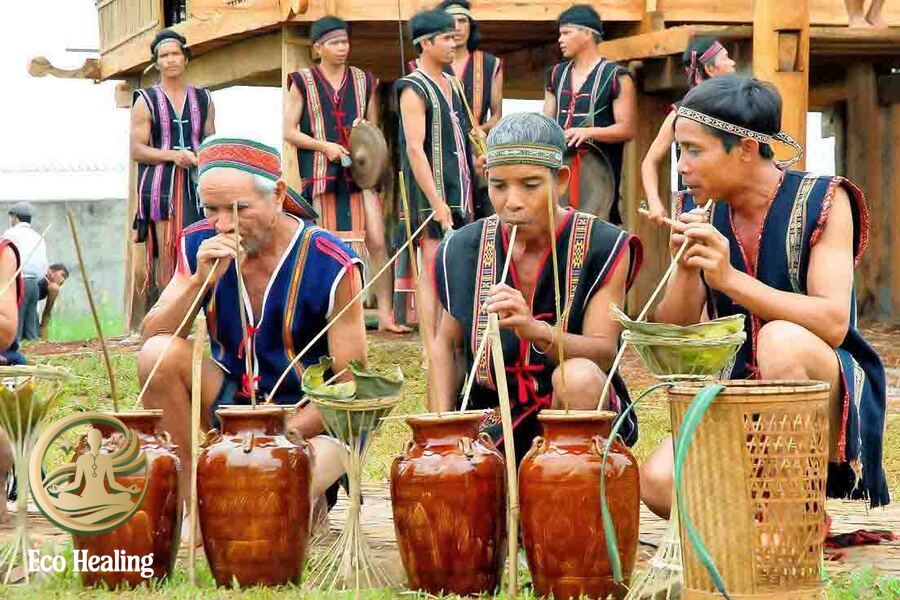 Tour trải nghiệm Tây Nguyên cùng Eco Healing
