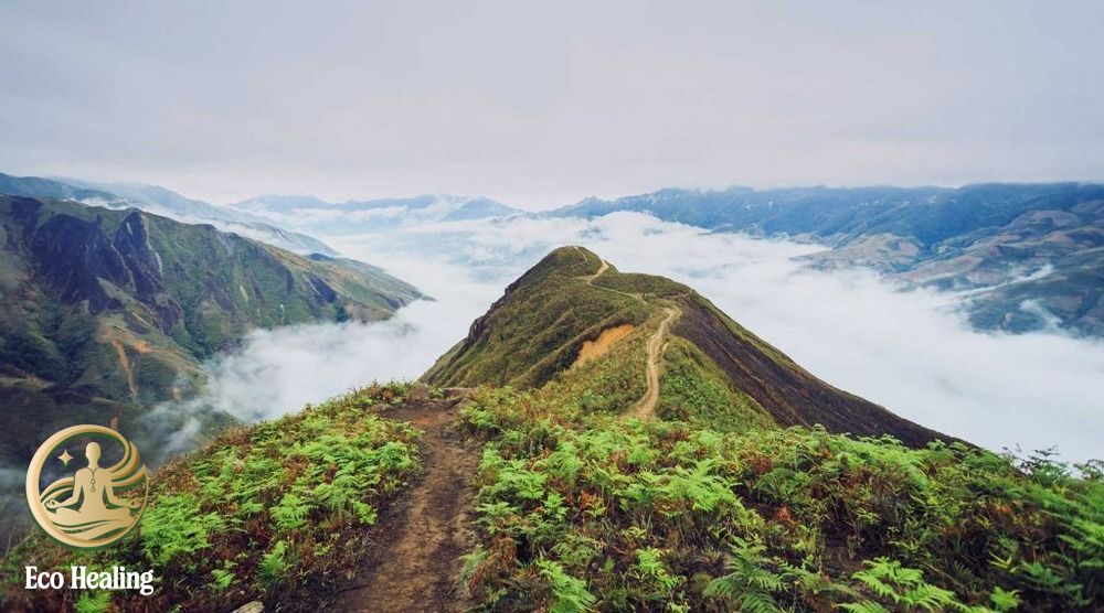 Trekking Tà Xùa: Hướng dẫn săn mây "Sống lưng khủng long" thành công 100%.
