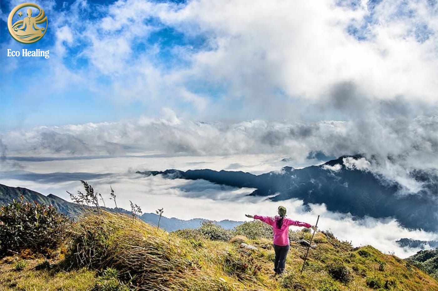 Chinh phục Trekking Lùng Cúng: Lạc vào đồi lau trắng và rừng cổ thụ đẹp mê hồn.