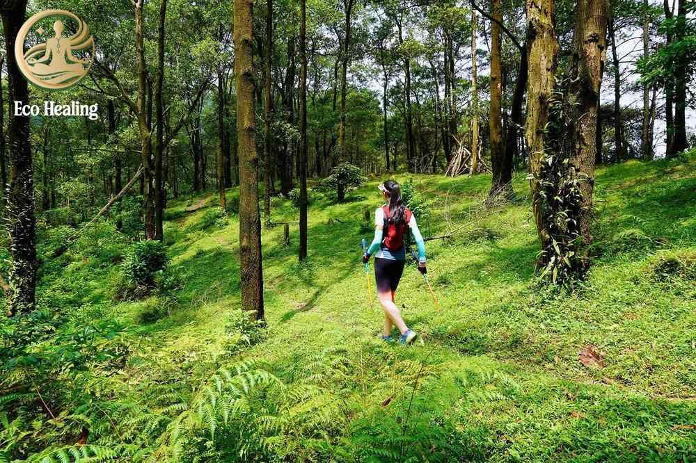 Đi trekking Hàm Lợn tự túc: Lộ trình, chi phí và lưu ý an toàn