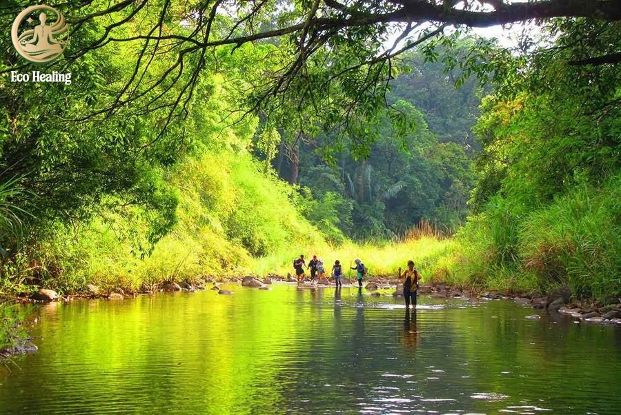 Trekking Bù Gia Mập: Hướng dẫn cắm trại, sinh tồn giữa rừng xanh Bình Phước.