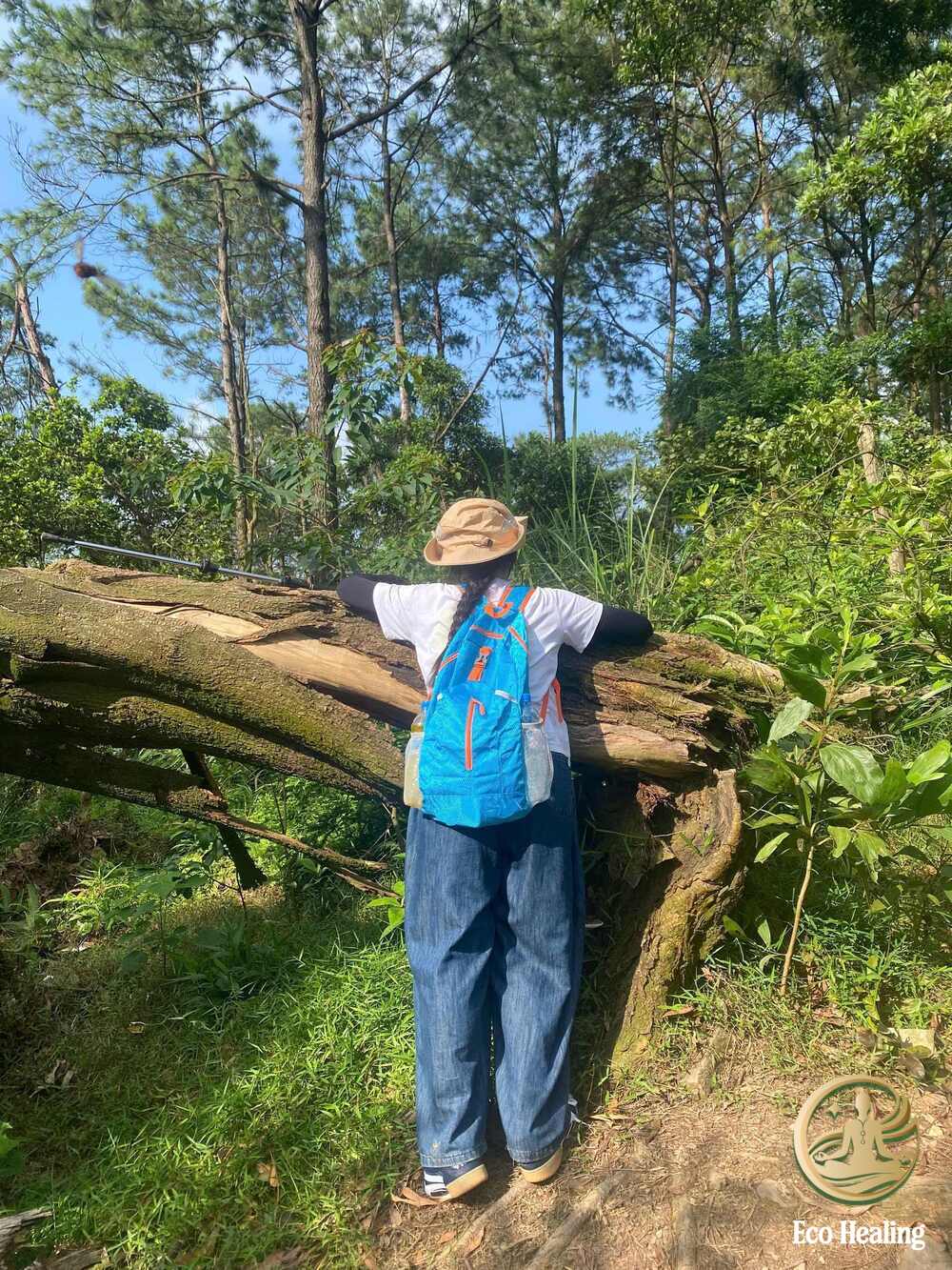 Trekking Hàm Lợn Trải nghiệm leo núi nhẹ nhàng gần Hà Nội cho cuối tuần