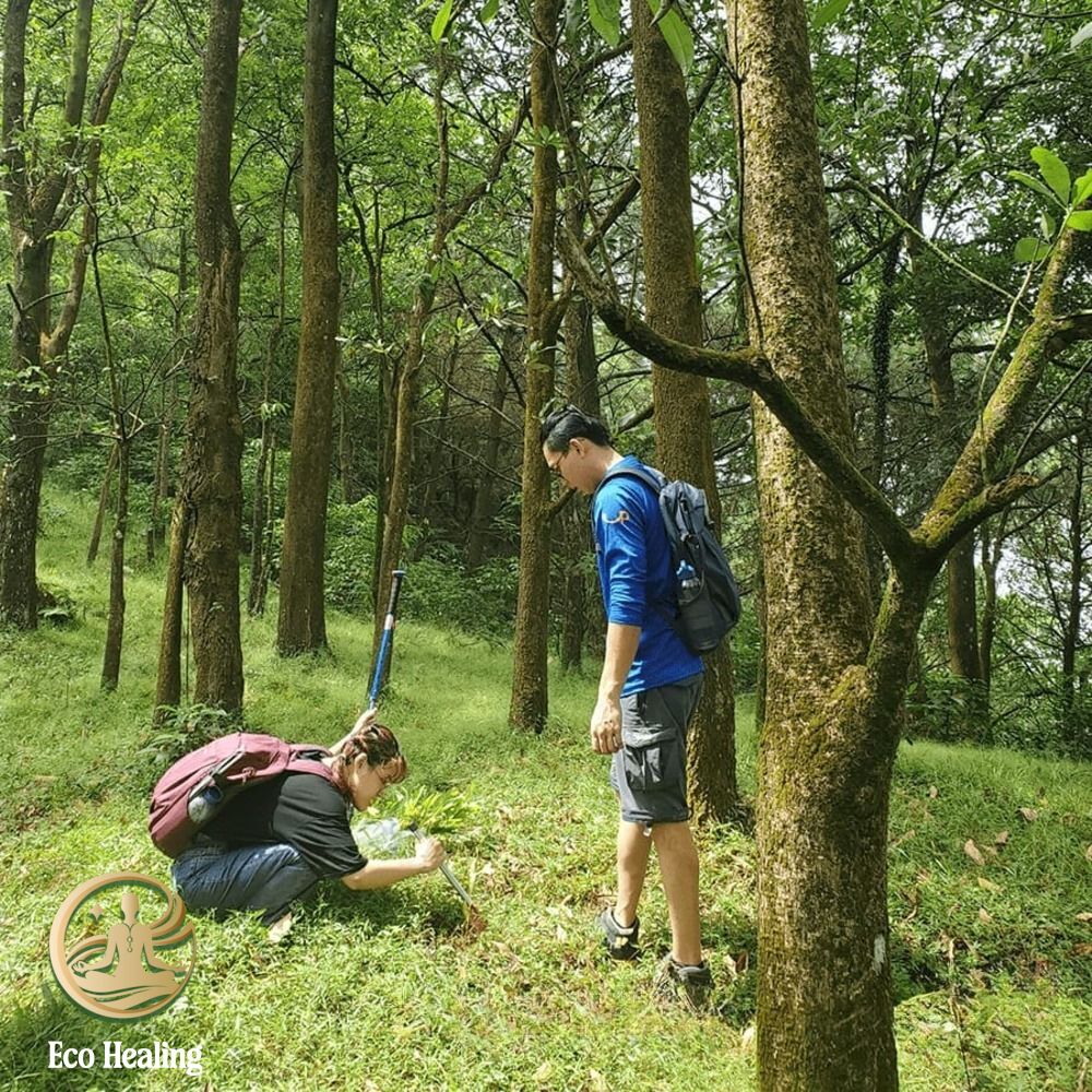 Trekking Hàm Lợn Trải nghiệm leo núi nhẹ nhàng gần Hà Nội cho cuối tuần