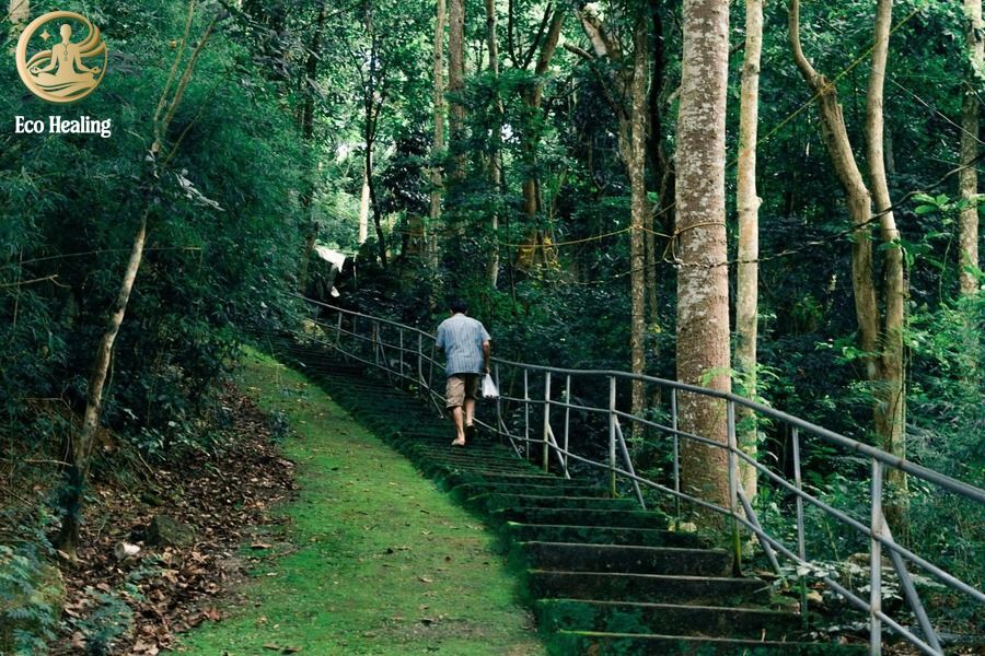 Trekking Núi Dinh (Vũng Tàu): Cung đường suối Tiên mát lạnh giải nhiệt mùa hè.