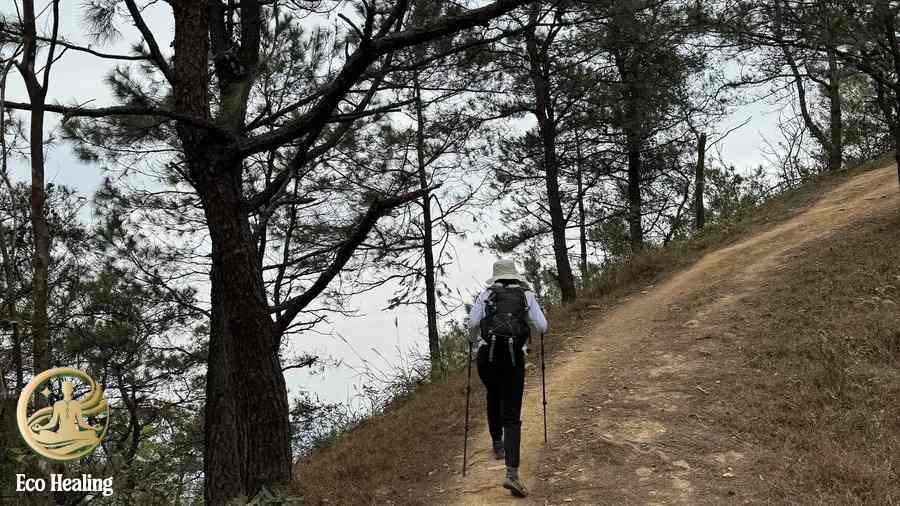Trekking núi Hàm Lợn – Điểm đến lý tưởng cho người mới bắt đầu