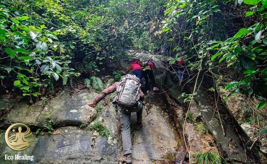 Trekking núi Hàm Lợn – Điểm đến lý tưởng cho người mới bắt đầu