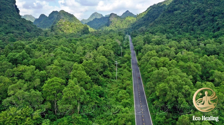 Eco tour Cat Ba